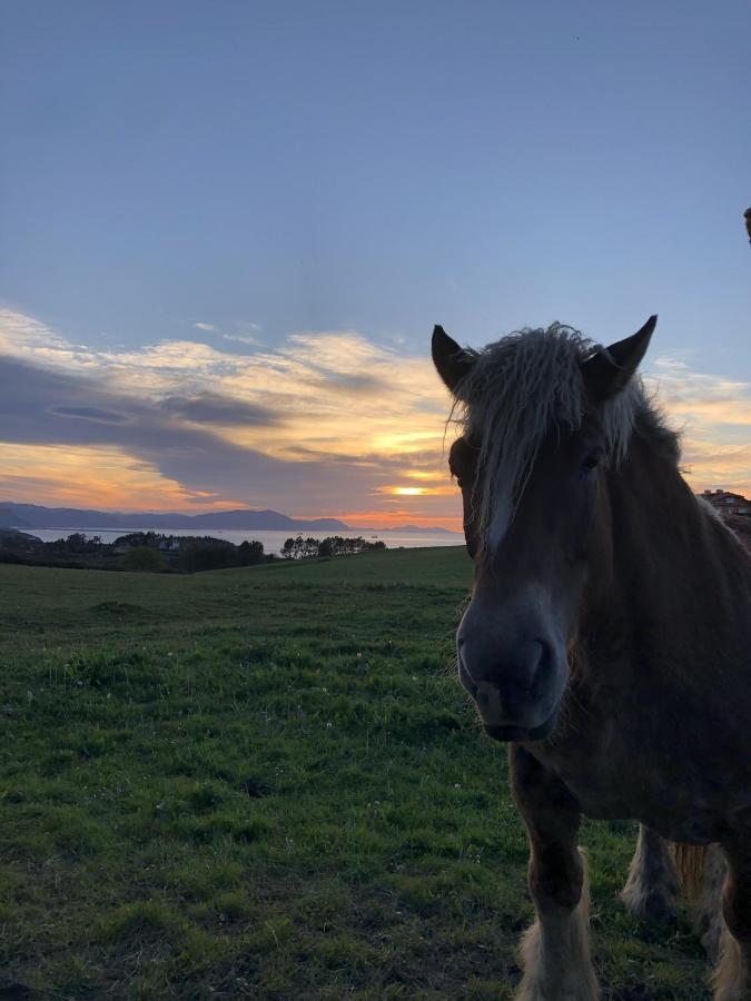 El Tejado De Santa Ana Pensionat Barrika Eksteriør billede